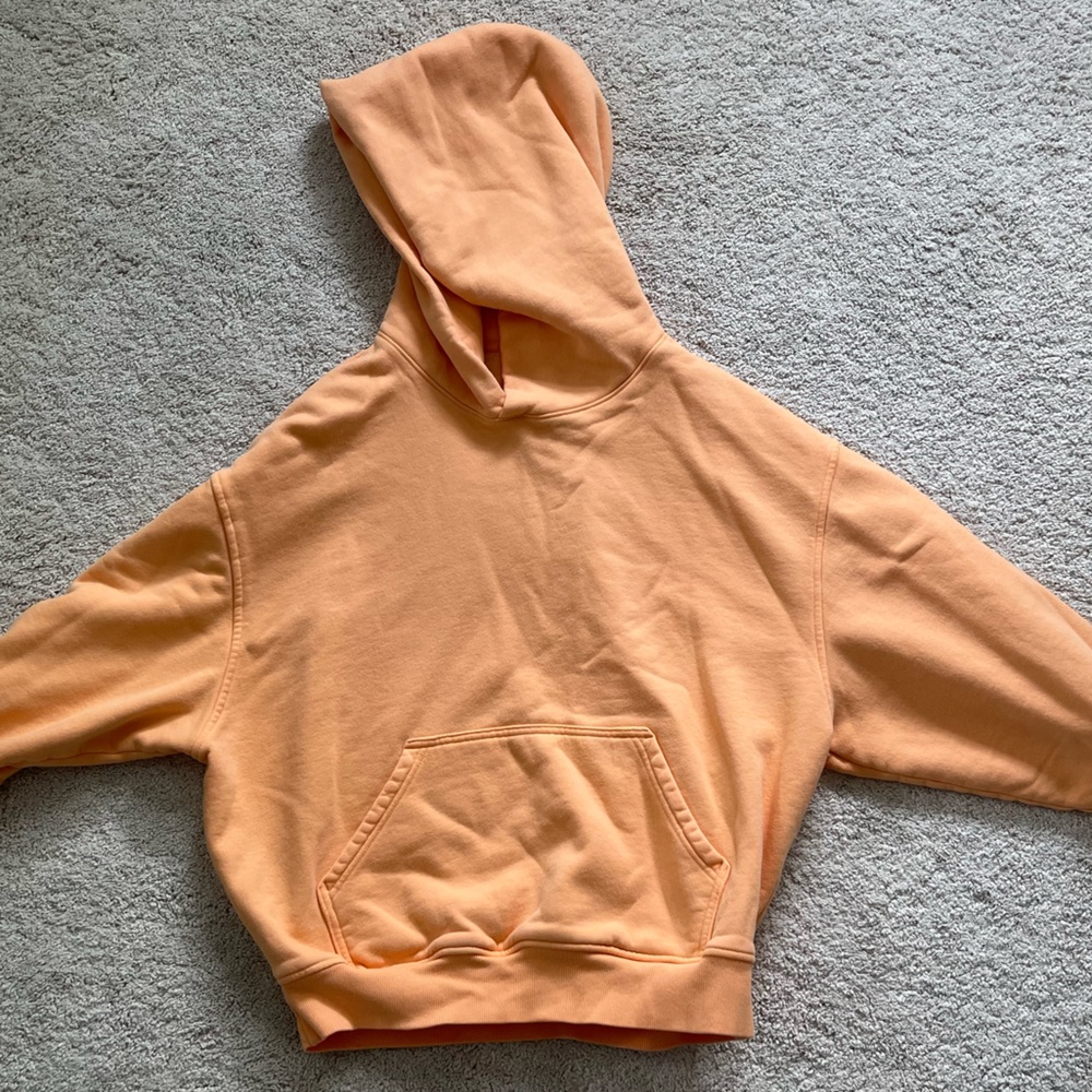 Aritzia TNA Cozy Hoodie